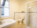 Bed and breakfast Newtown Shower room with spacious cublicle