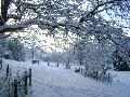 Paddock in snow