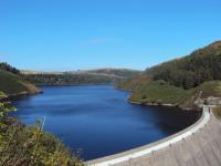Llyn