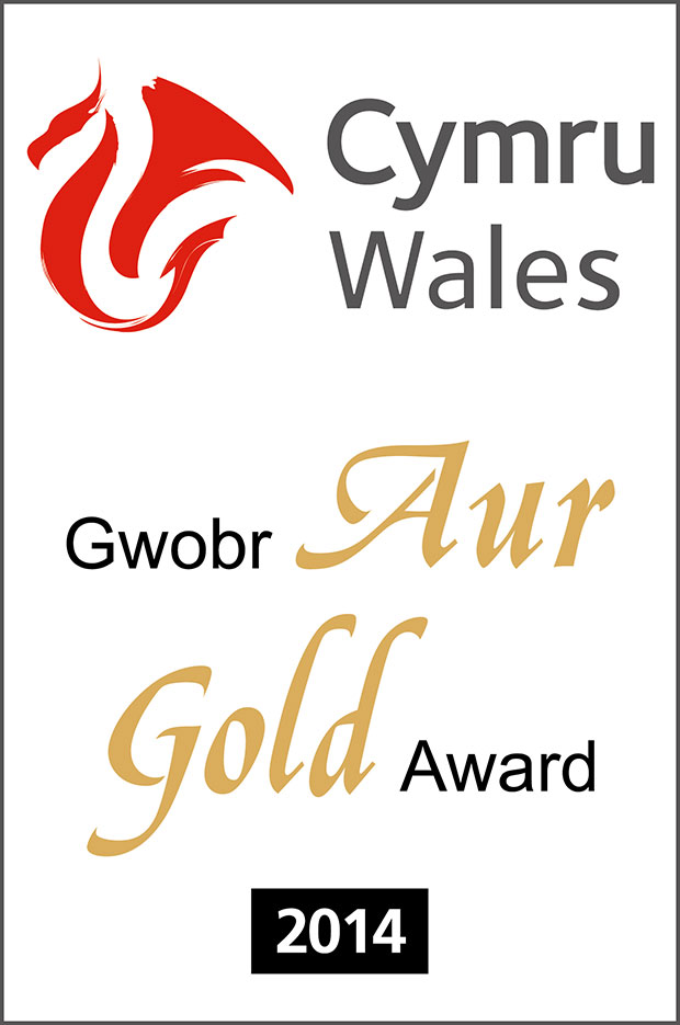 gold award